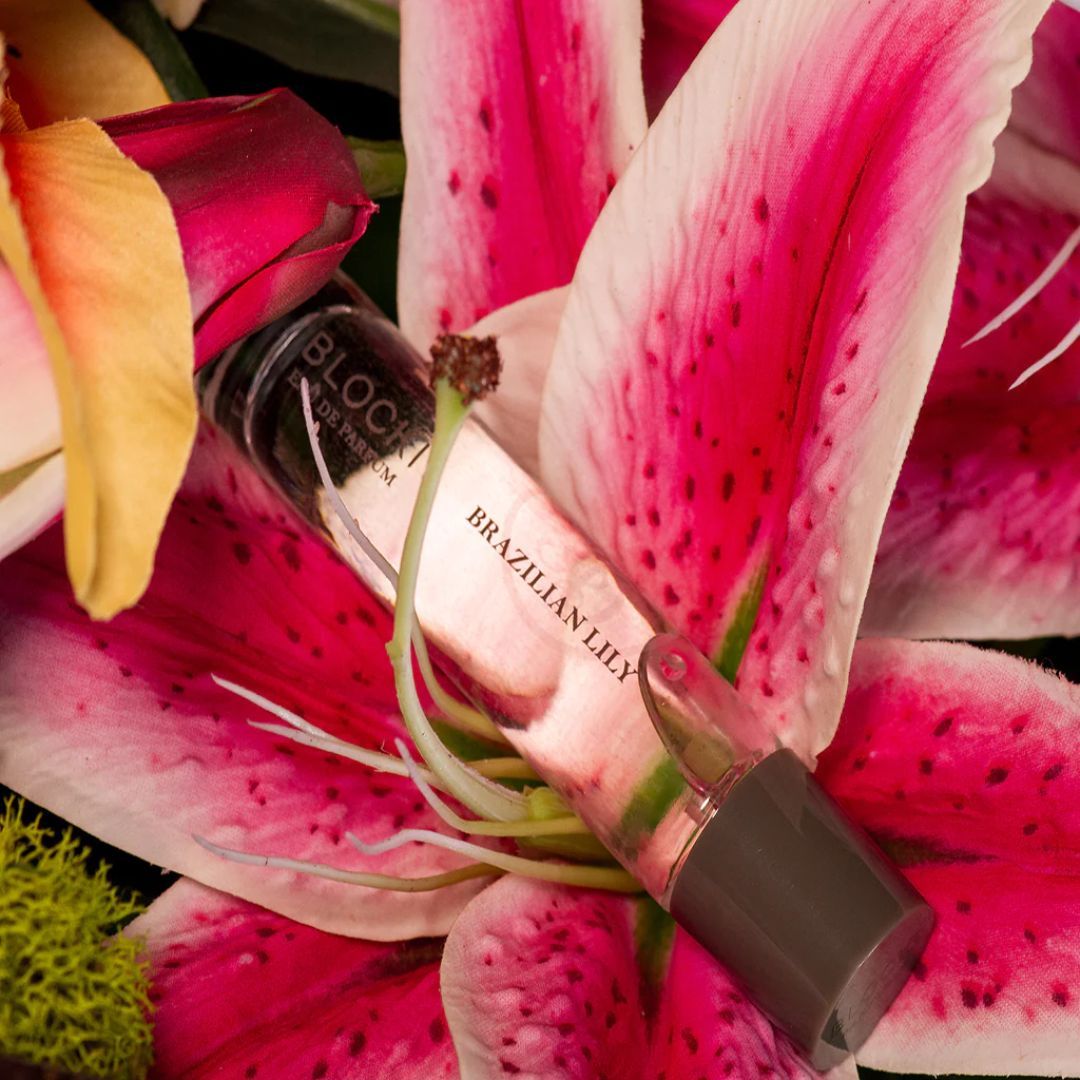 Brazilian Lily
