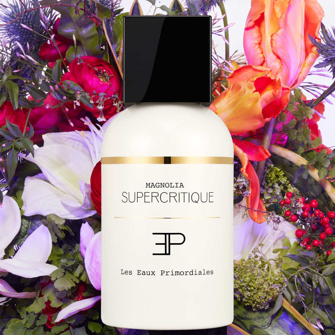 Magnolia Supercritique