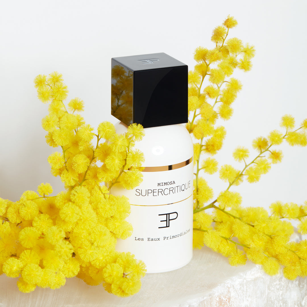 Mimosa Supercritique