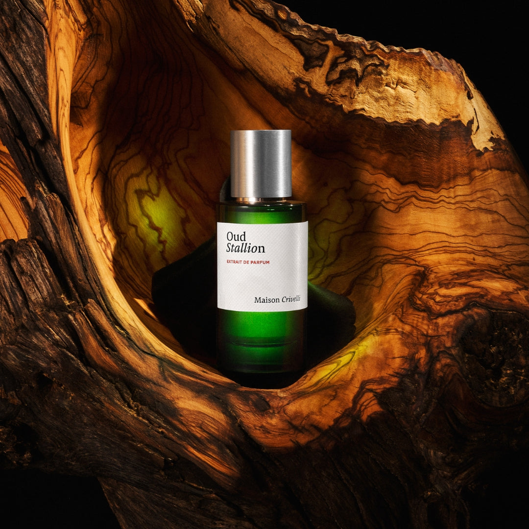 Oud Stallion Extrait