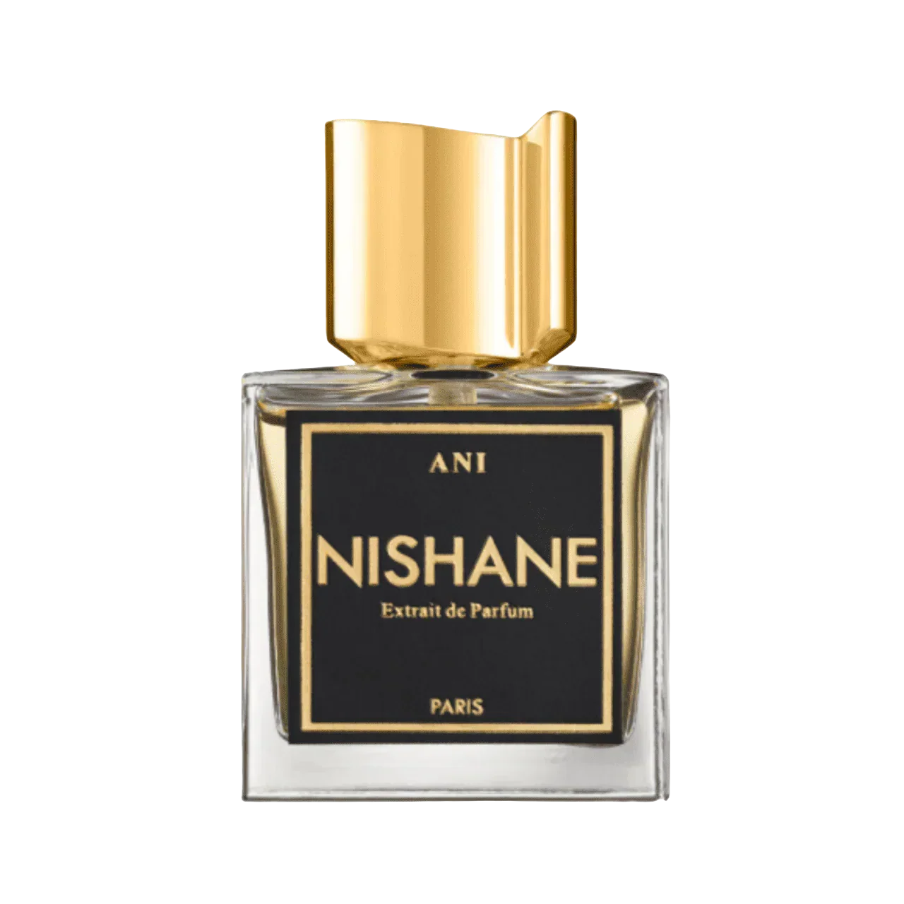 Nishane Ani