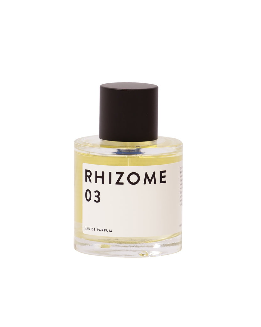Rhizome 03