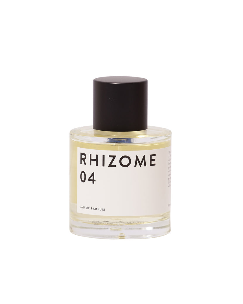 Rhizome 04
