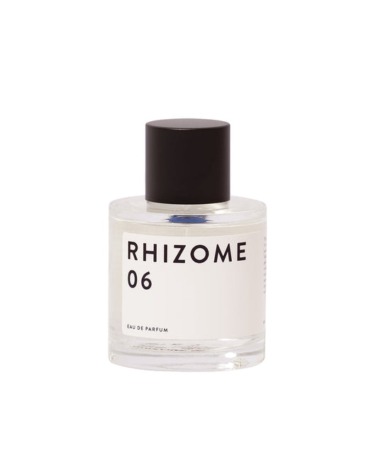 Rhizome 06