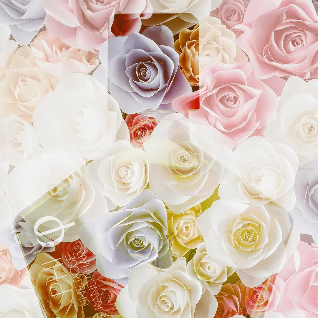 PHI - Une Rose de Kandahar