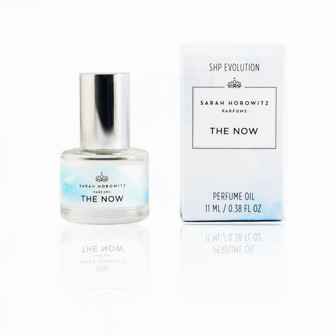 SHP Evolution - The Now