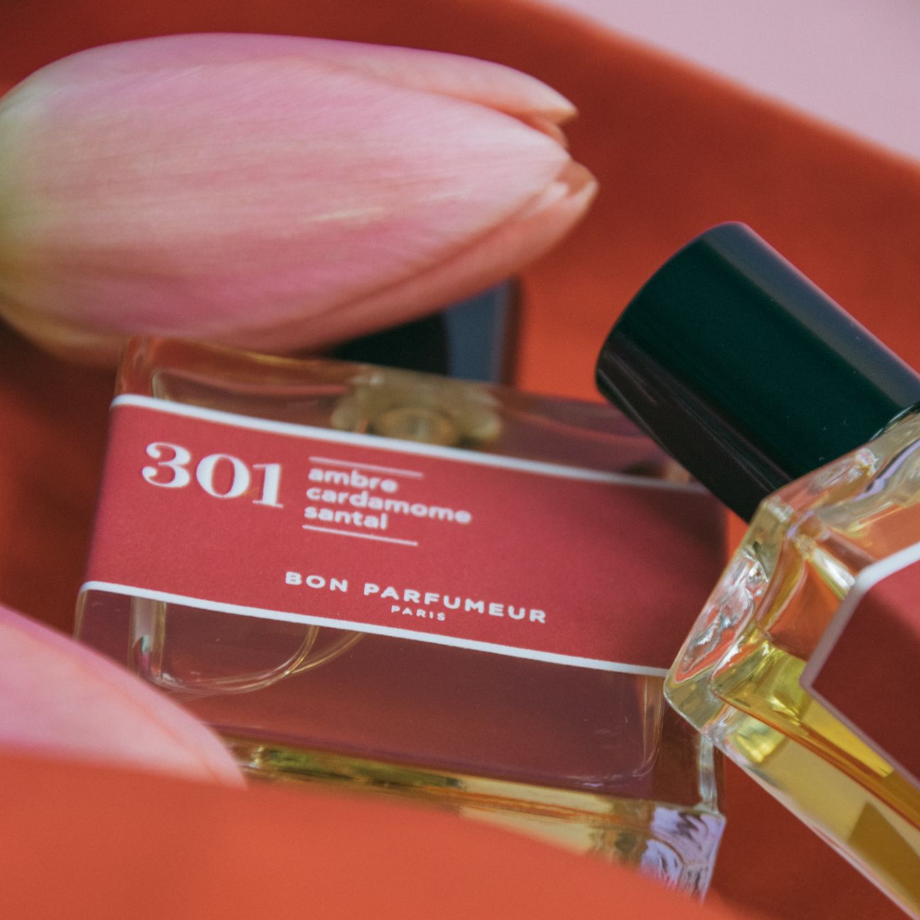 301: Sandalwood, Amber & Cardamom